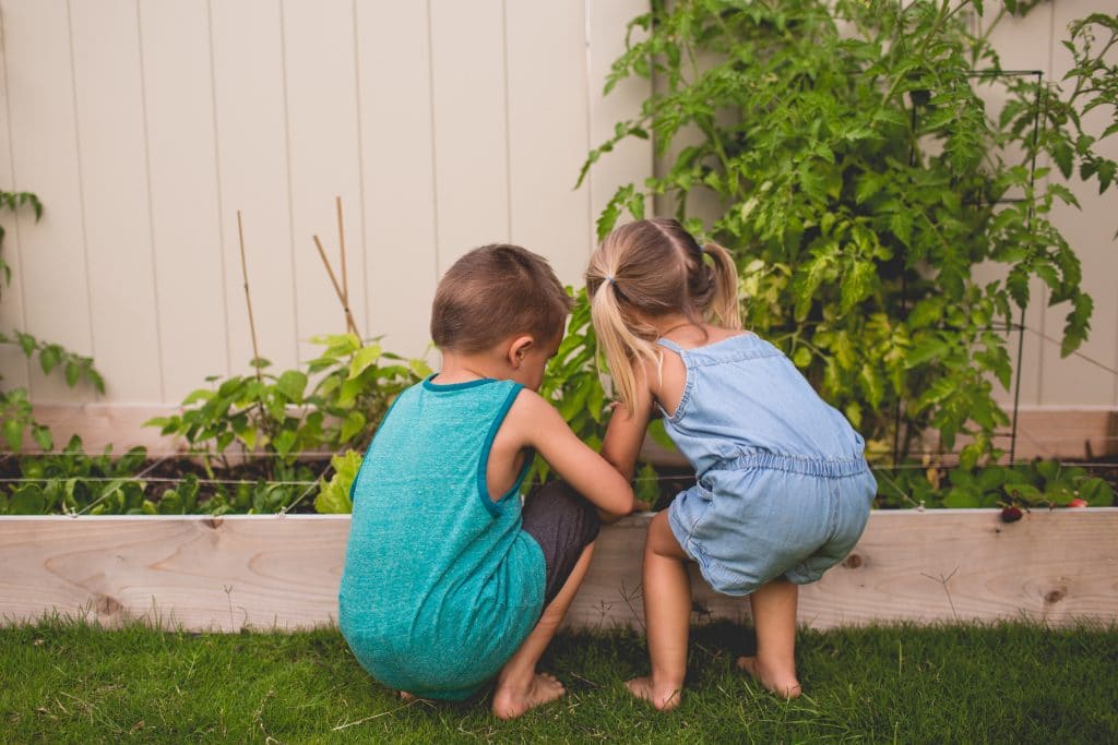 Créer un potager pour vos enfants