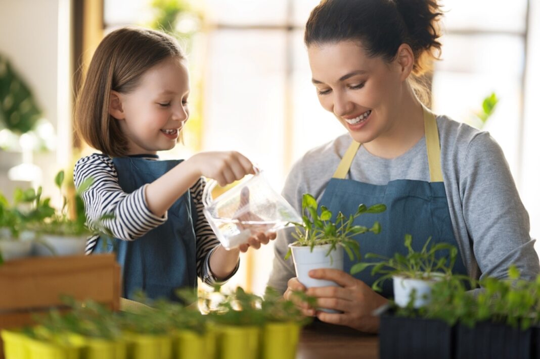 5 façons dont les plantes peuvent contribuer à apporter paix et calme à votre foyer